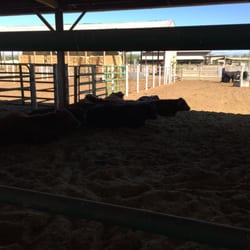 Chico State Meat Lab - Lazy Saturday