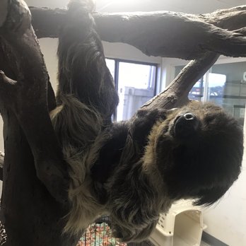 Wildlife Learning Center - Zoos Near Me - Sylmar, California