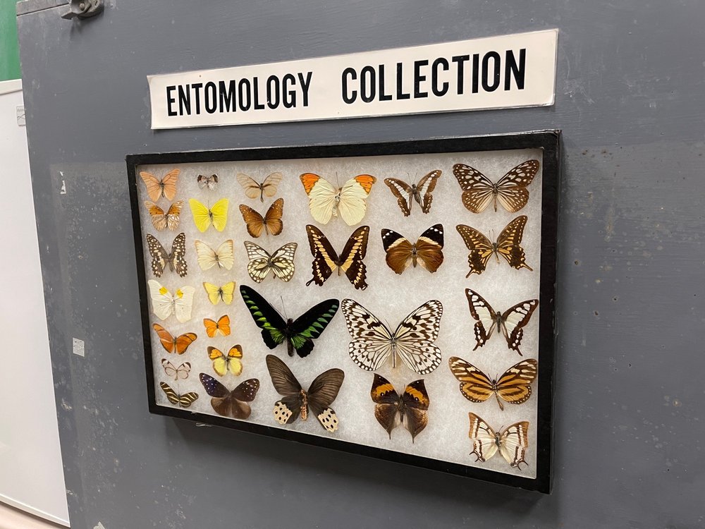 Social spots from Museum of Natural History