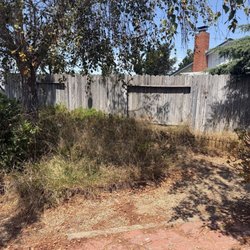 Velasquez gardening