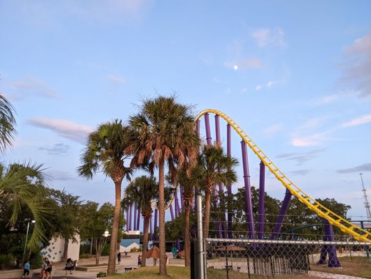 SeaWorld San Antonio by null