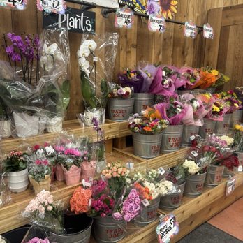 Trader Joe's - Grocery Near Me - Chicago, Illinois Trader Joe's - Grocery Near Me - Chicago, Illinois