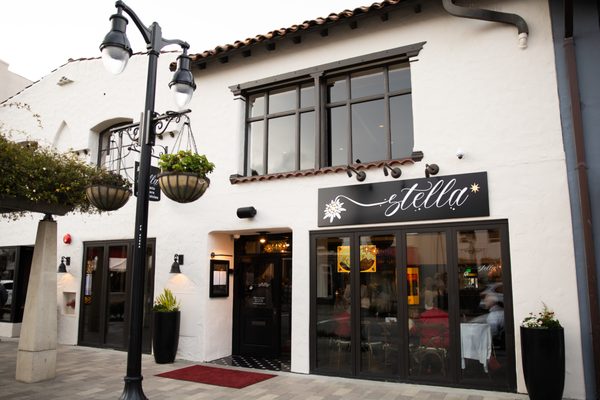 Stella by null