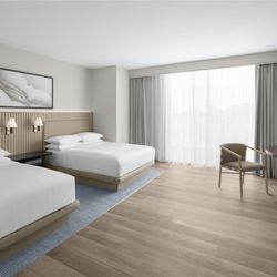 Hilton Jacksonville at Mayo Clinic - Guest room