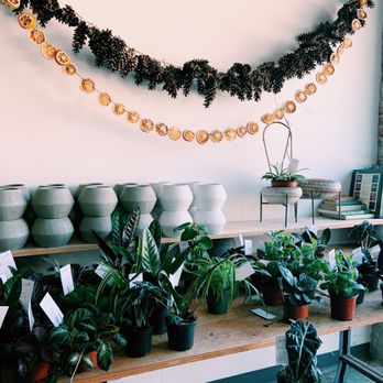 Grounded Plant & Floral - Nurseries & Gardening Near Me - Indianapolis, Indiana