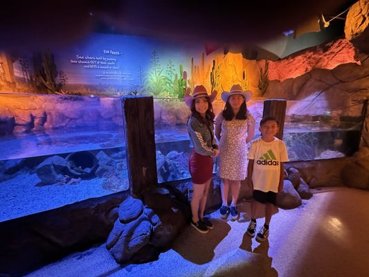 SEA LIFE Arizona Aquarium by null