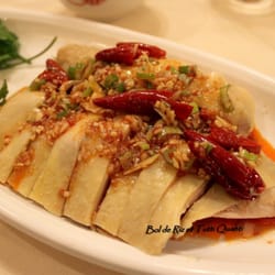 Jin Jiang - Poulet froid piquant 口水鸡
