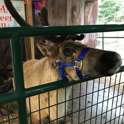 Snowman's Reindeer Farm