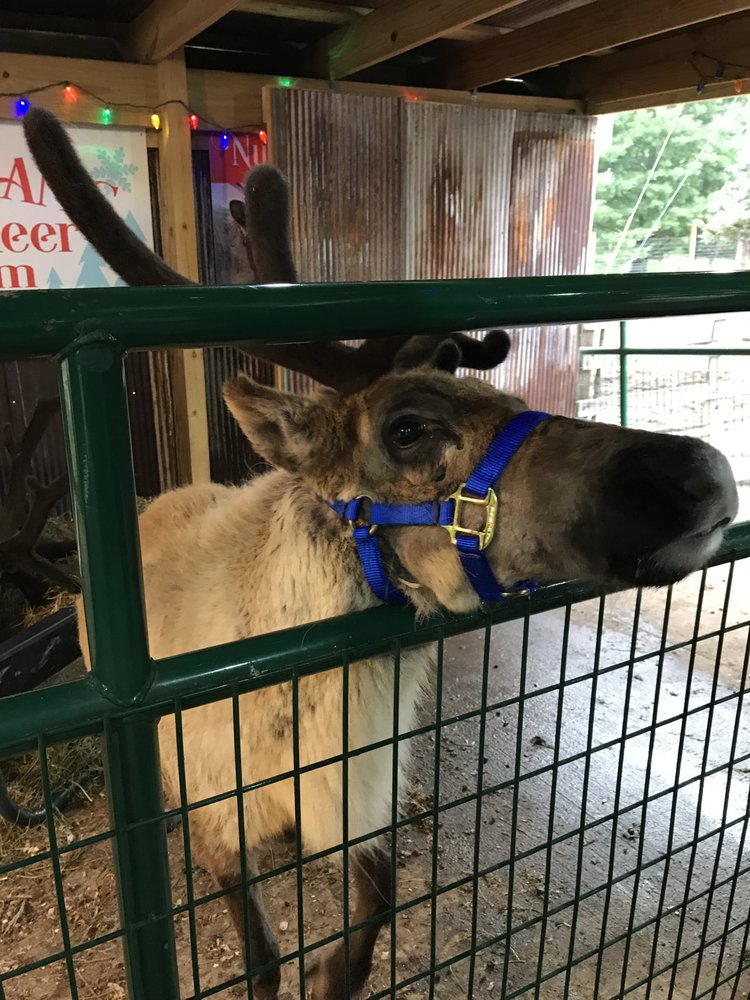 SNOWMAN’S REINDEER FARM Updated September 2024 25599 E Middle Lake