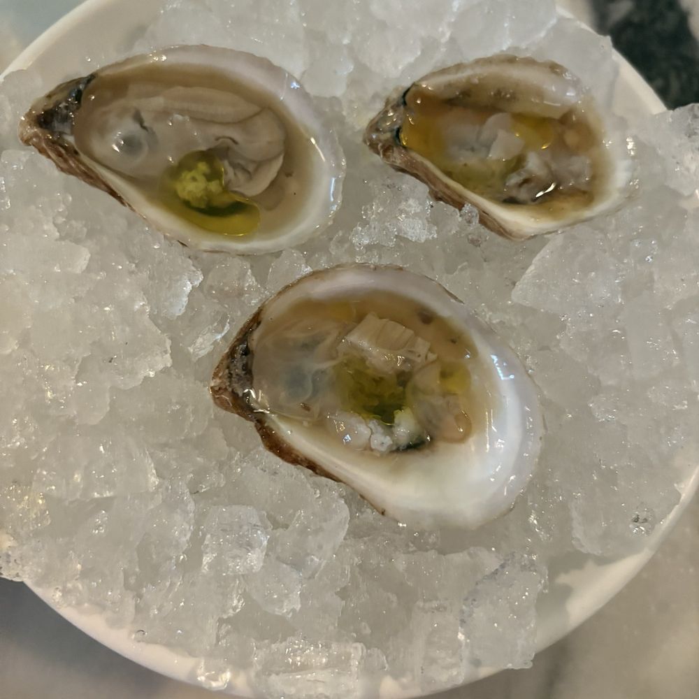 ViceVersa Miami - Oysters - Cocktail Bars Near Me - Miami, Florida ViceVersa Miami - Oysters - Cocktail Bars Near Me - Miami, Florida