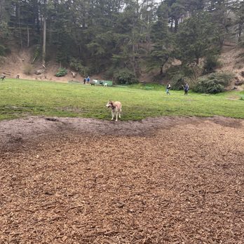 Upper Douglass Dog Park - Dog Parks Near Me - San Francisco, California Upper Douglass Dog Park - Dog Parks Near Me - San Francisco, California