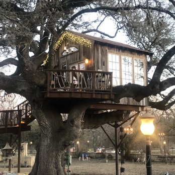 The Laurel Tree - Treehouse is adorable! - Salad Near Me - Utopia, Texas