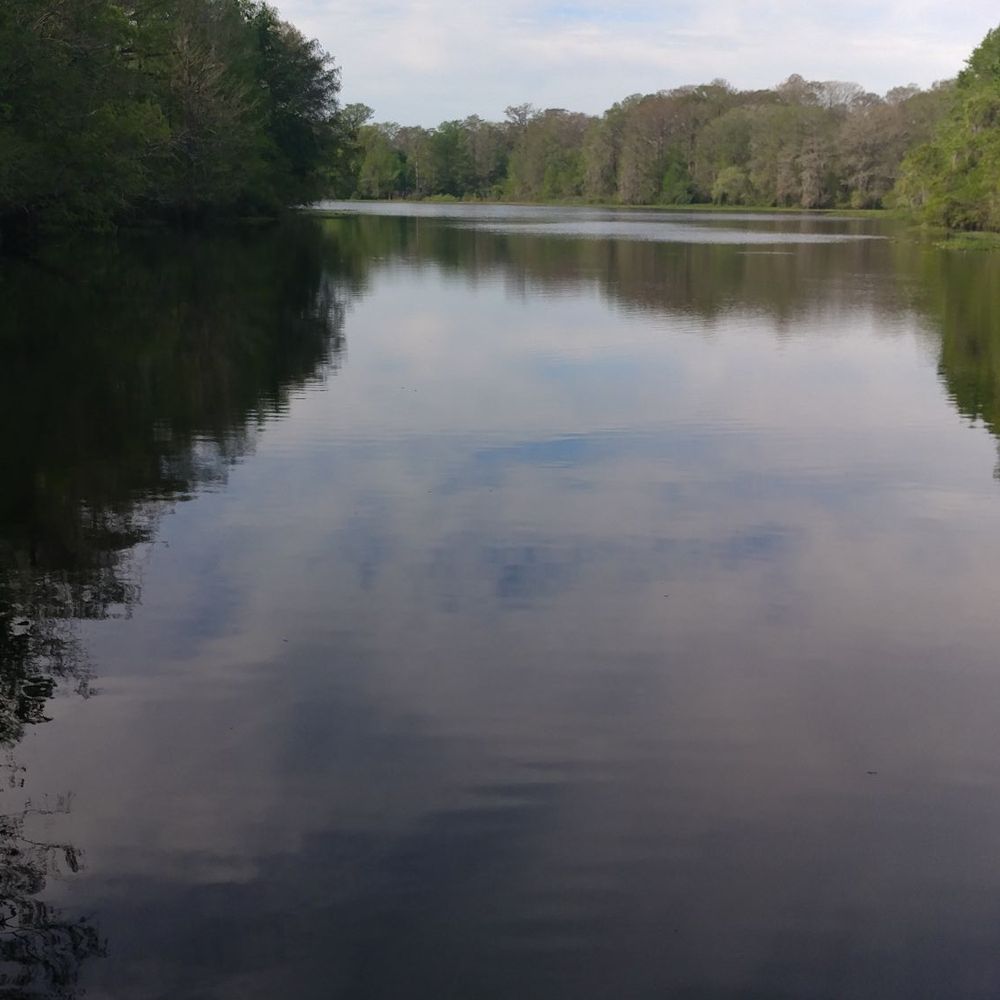 Bronson's Camp Outlaw @ Indian Bow - This is a pic from the doc. - Fishing Near Me - Bushnell, Florida Bronson's Camp Outlaw @ Indian Bow - This is a pic from the doc. - Fishing Near Me - Bushnell, Florida