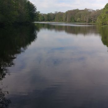 Bronson's Camp Outlaw @ Indian Bow - This is a pic from the doc. - Fishing Near Me - Bushnell, Florida Bronson's Camp Outlaw @ Indian Bow - This is a pic from the doc. - Fishing Near Me - Bushnell, Florida