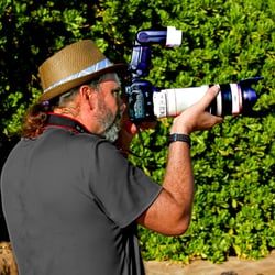 The Maui Marrying Muse - Rog Shotin' Pix
