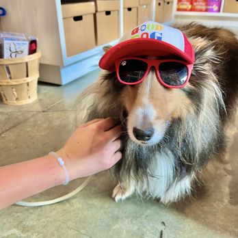 George - Pet Stores Near Me - San Ramon, California George - Pet Stores Near Me - San Ramon, California