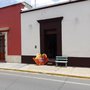 Photo of Crema y Nata