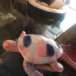 my turtle