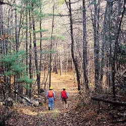 Yale School of Forestry Camp - Here
