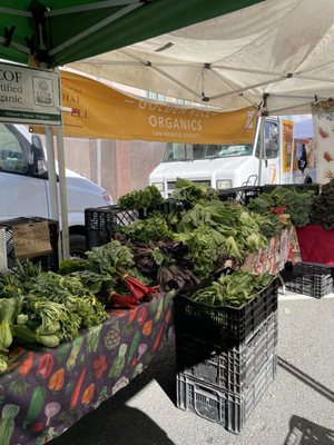 Downtown Berkeley Farmers' Market by null