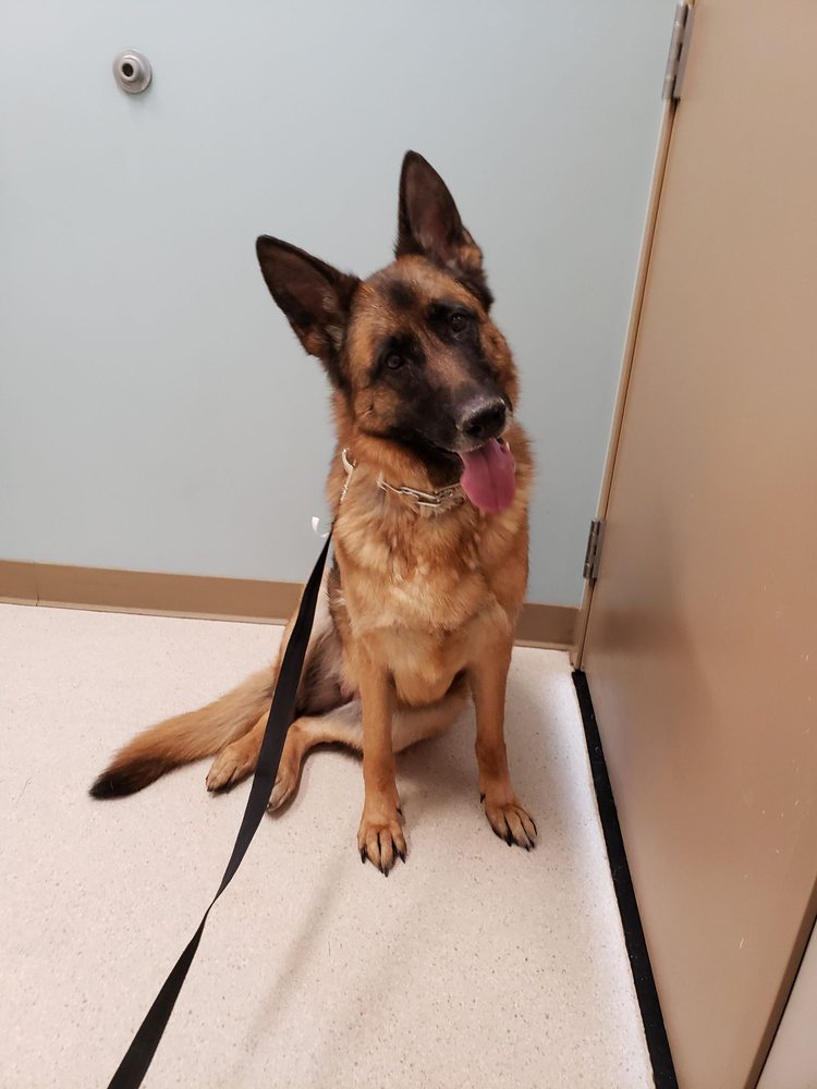 HAPPY TAILS ANIMAL HOSPITAL 28 Photos & 78 Reviews Veterinarians