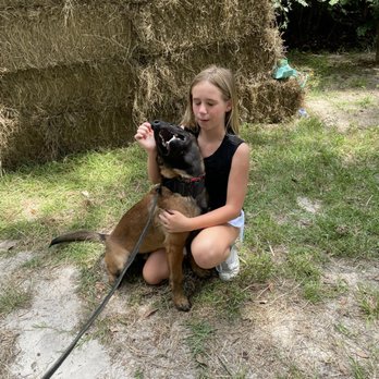The Hey Farm - Pet Training Near Me - Robertsdale, Alabama The Hey Farm - Pet Training Near Me - Robertsdale, Alabama
