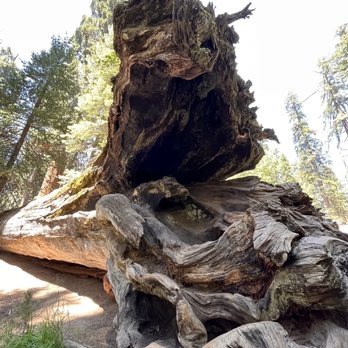 Grant Grove - Hiking Near Me - Badger, California Grant Grove - Hiking Near Me - Badger, California
