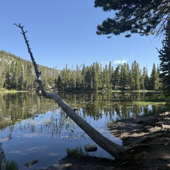 Nymph Lake - Lakes Near Me - Estes Park, Colorado