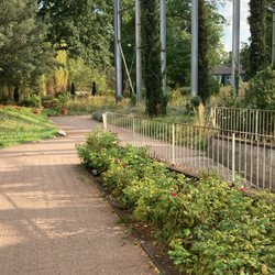 Botanischer Garten Hamborn - Botanischer Garten in Hamborn