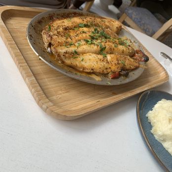 Alacati Mediterranean Restaurant - Snapper - Mediterranean Near Me - Plantation, Florida