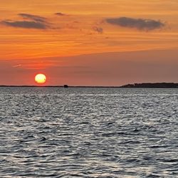 Safari Dolphin Tours - Sunset!