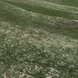 McLemore Resort - Center of fairway? Sorry! We haven't learned to grow grass yet!