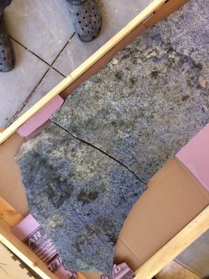 Alexander's Mobility Services