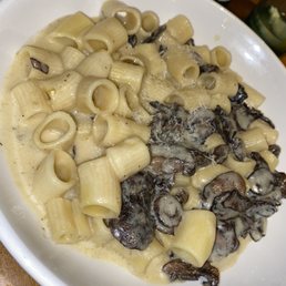 Creamy Mushroom Rigatoni Creamy Mushroom Rigatoni
