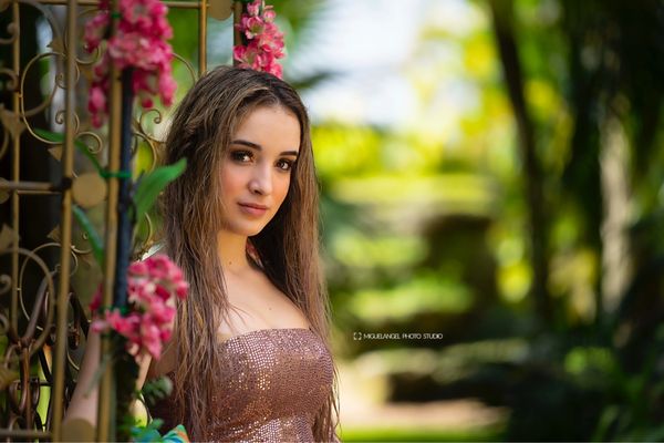 Secret Gardens Miami by null