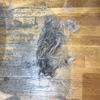 Jacey Gillette - That's where my hair is- I had to cut it all off and start over... which is costing my over 200.00 dollars! - Hair Stylists Near Me - Weatherford , Texas