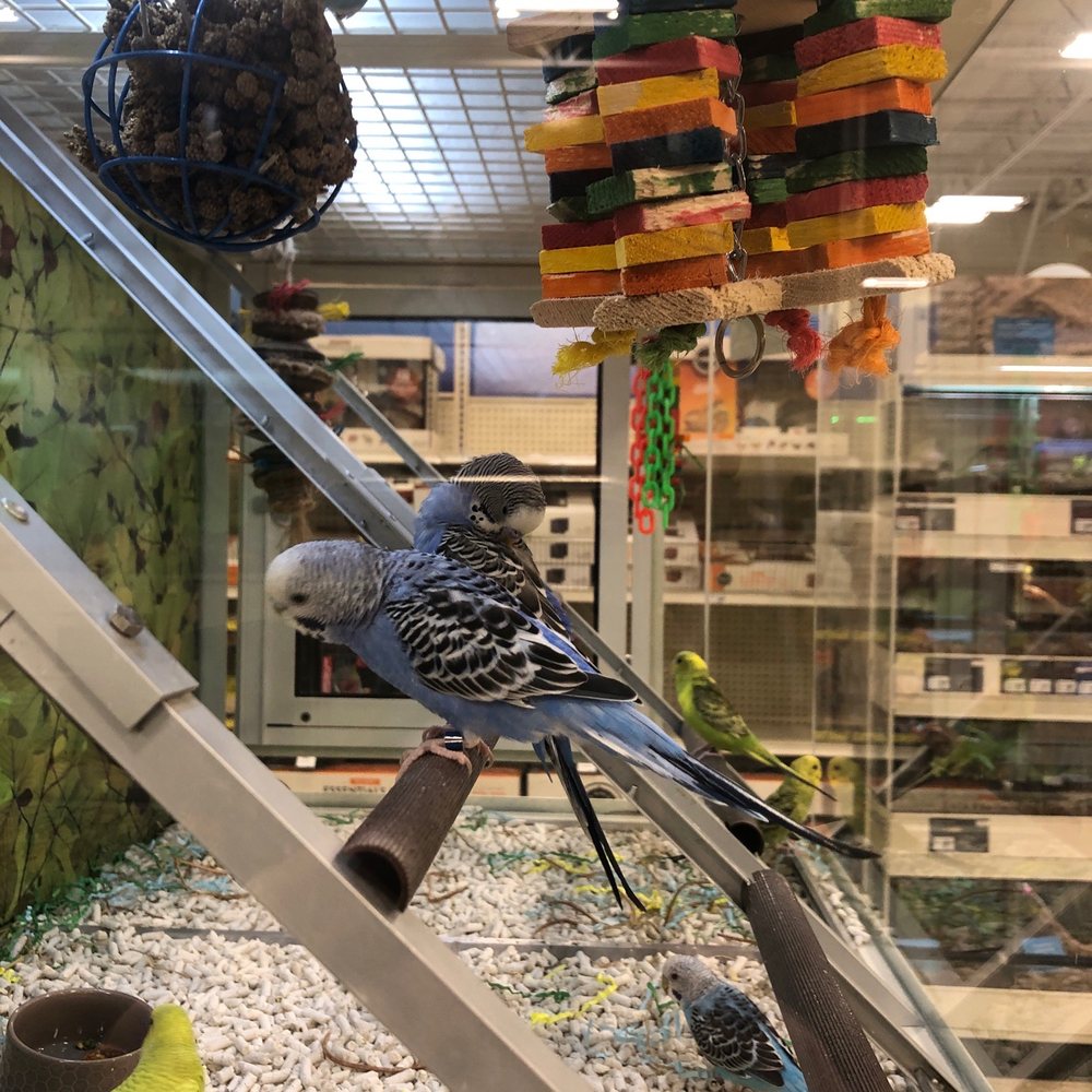 PetSmart - Pet Stores Near Me - Southlake, Texas PetSmart - Pet Stores Near Me - Southlake, Texas