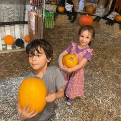 Bennett's Best Christmas Trees & Pumpkins