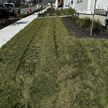 Aerate & Dethatch - Lawn Services Near Me