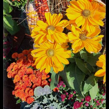 Gertens - Nurseries & Gardening Near Me - Inver Grove Heights, Minnesota