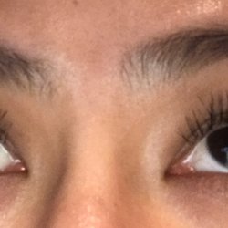 Bless Lash - Just got the lashes done. No makeup.