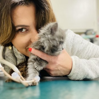 Mesa West Pet Hospital - Veterinarians Near Me - Costa Mesa, California Mesa West Pet Hospital - Veterinarians Near Me - Costa Mesa, California