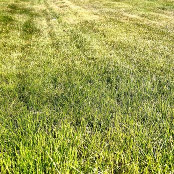 Shadyside Lawn Services - Lawn Services Near Me - Pittsburgh, Pennsylvania