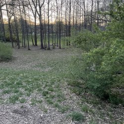 Swope Park Off Leash Dog Park
