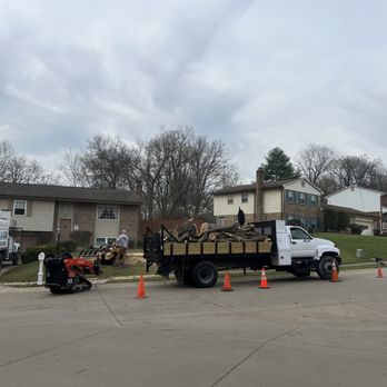Cardwell Tree & Landscape - Landscaping Near Me Cardwell Tree & Landscape - Landscaping Near Me
