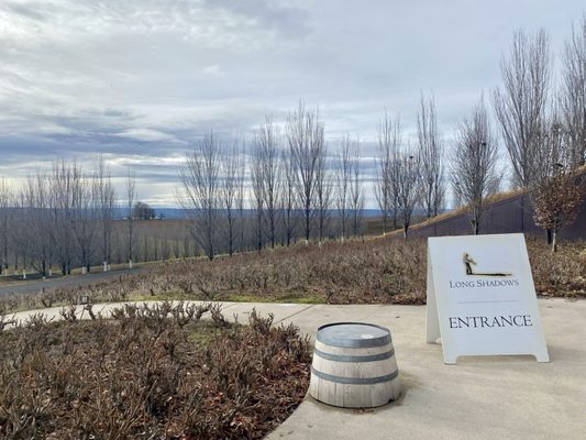Long Shadows Winery by null
