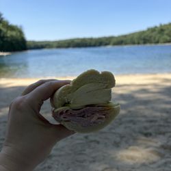 The Concord Cheese Shop