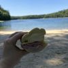The Concord Cheese Shop gift card