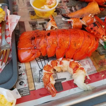 Alma Lobster Shop - Lobster meat was so small within the shell. Very young lobster. - Seafood Markets Near Me - Alma, New Brunswick