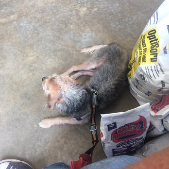 O'Reilly Auto Parts - My dog and I cooling off inside - Auto Parts & Supplies Near Me - Benton, Arkansas O'Reilly Auto Parts - My dog and I cooling off inside - Auto Parts & Supplies Near Me - Benton, Arkansas